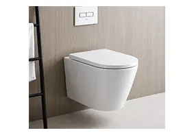 Wall Hung Toilet